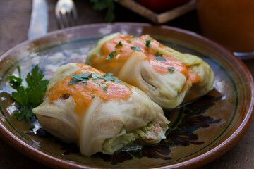 Golabki - traditional Polish food. Stuffed cabbage and tomato sauce garnished with fresh parsley.