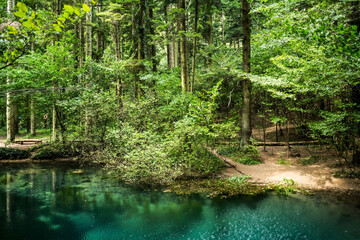 Ochiul Beiului, emerald lake in National Park Cheile Nerei - Beusnita, Banat, Romania.
