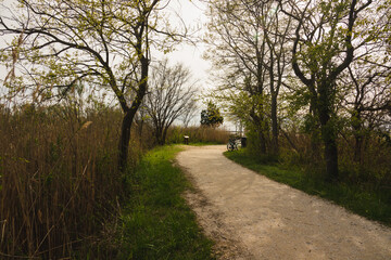 Stroll to the Beach 4