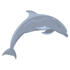 Dolphin fish