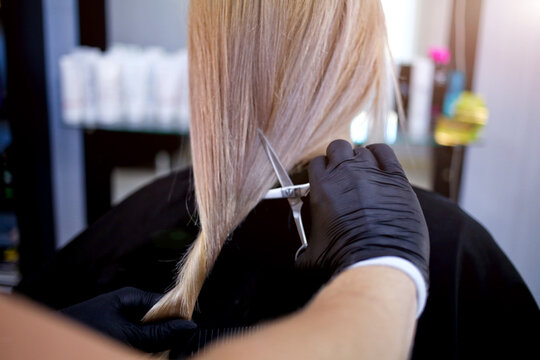 Hands of a hairdresser in rubber gloves cut blonde is tail. Woman getting a new haircut.