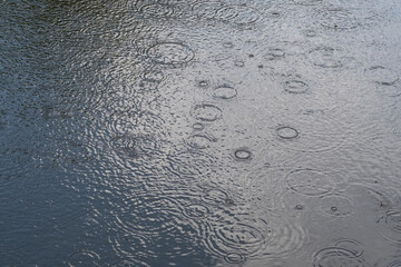 Ripples from rain drops in pond with sky reflection.