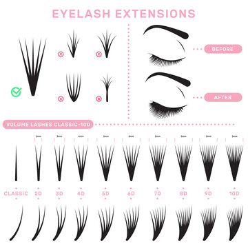 Eyelash Extension Infographics. Volume Boost Guide, Fake Lashes Application, Eyelashes Cluster Set. Can Be Used For Beauty Care Or Salon Concept