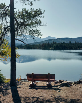 Wooden bench with sunlight and pine tree on lakeside © Mumemories