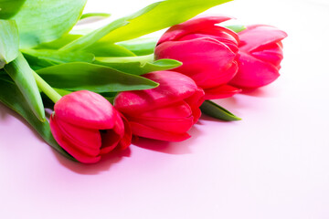 Acercamiento a pétalos de tulipanes 