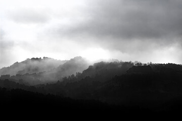 Cold misty mountains black and white