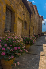 Flowers line the kerbside in the hill top settlement of Civita di Bagnoregio in Lazio, Italy in summer