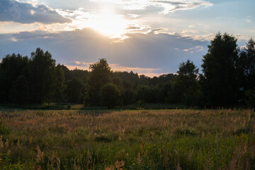 the sun was setting over the forest and meadow