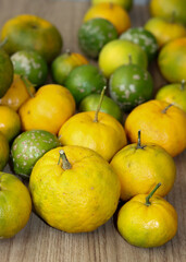 Delicious organic fruits.
Beautiful lemons, oranges and bergamots.