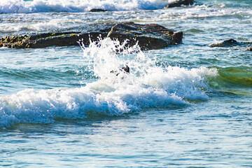 Obraz premium water splash on rocks