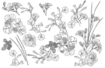 Botanical set of sketch flowers and branches