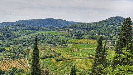 Fototapeta premium Landscape of Montepulciano surrounded by the vineyards and the Tuscan countryside, Italy.