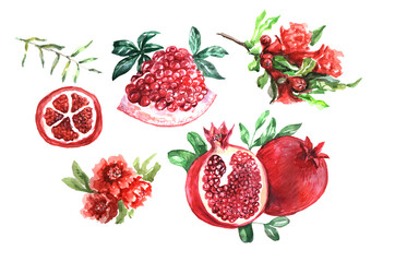 Set pomegranates on a white background. Hand drawn watercolor illustration. Sketch style, vintage, retro, realism. The color is red, burgundy, green. juicy fresh fruits, south, exotic. Print, textiles