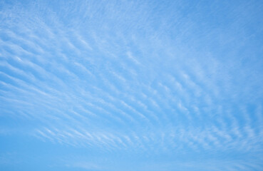 Background. Blue sky with beautiful light airy clouds like feathers. High. Desktop wallpaper. Nice, natural. Nature. Freedom. Stripes of oblates float across the endless sky