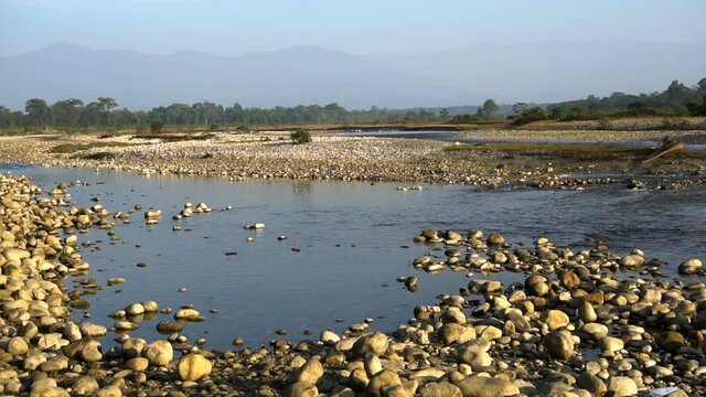 Murti riverbed in the morning, riverbed in foreground with flowing water and stones. Scenic beauty of Dooars landscape, West Bengal, India.