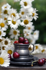 Obraz na płótnie Canvas Ripe sweet cherries and daisy flowers 