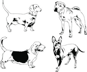 vector drawings sketches pedigree dogs and cats  drawn in ink by hand , objects with no background