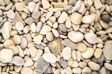 The photo shows a sunny beach. Gray stone (pebble) of different sizes, rounded shapes, different colors and shades. Background for the desktop, for notes, inscriptions, tests.