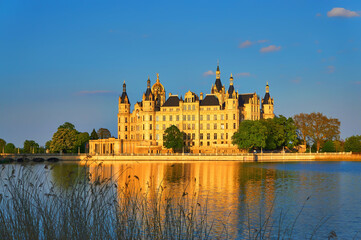 Schwerin Castle behind the reeds illuminated by natural sunlight.