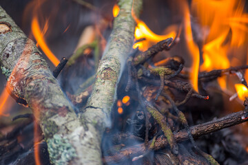 Closeup on a fireplace in the woods with soft focus