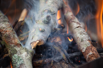Closeup on a fireplace in the woods with soft focus