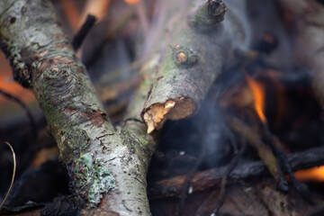 Closeup on a fireplace in the woods with soft focus
