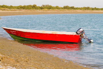 Mangrove forest near Qeshm (Keshm) island on Persian Gulf, Iran, Middle East, Asia