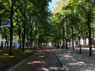 Park in The Hague