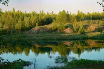 Forest lake landscape with green trees and glittering water