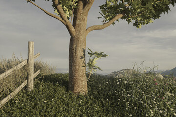 3d rendering of a maple tree at high green hill