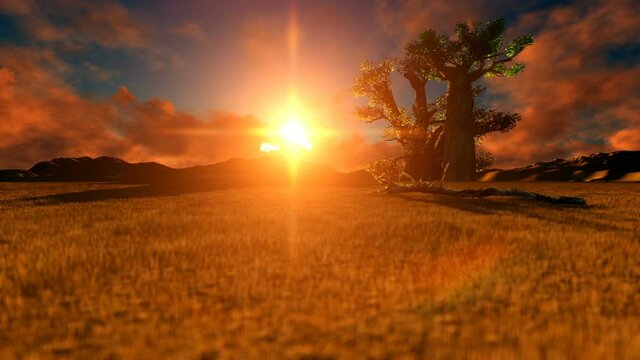 Pan of African desert with baobab tree at sunset