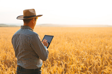 Caucasian farmer checking the field of cereals and sends data to the cloud from the tablet. Smart farming and digital agriculture concept.