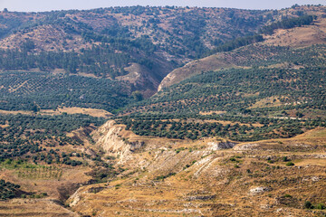 Fototapeta na wymiar view of the valley of the valley