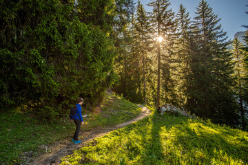 Obraz premium walking in the forest