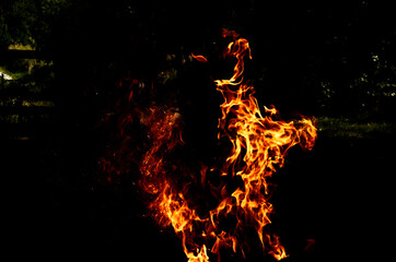 Fototapeta na wymiar Texture of orange and red flames from a wood fire outdoors, template for graphic use of flames or fire, wallpaper and fire background isolated on black background