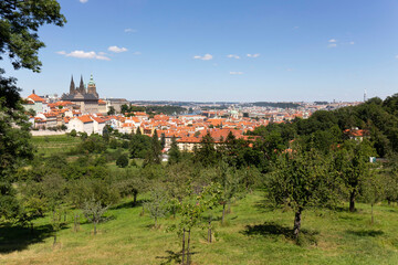 Fototapeta na wymiar Prague City with gothic Castle and the green Nature from the Hill Petrin, Czech Republic