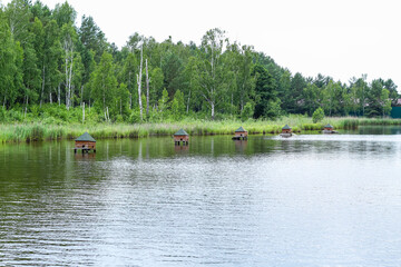Houses for waterfowl on a lake near a birch grove