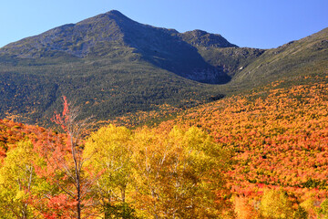 Obraz premium Brilliant fall foliage and rugged Mount Washington, the centerpiece of New Hampshire’s Presidential Mountain Range. Steep prominent bowl-shaped depression is Huntington Ravine.
