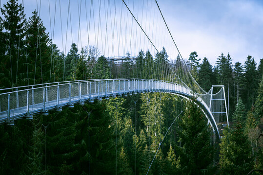 Suspension bridge in Black Forest, Germany. Metal bridge over pine trees