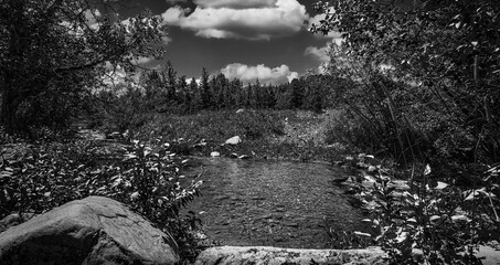 Rocky Mountain Stream in Big Sky Country Montana in the Highwood Mountains