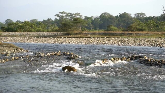 Murti river in the morning, riverbed in foreground with flowing water and stones. Scenic beauty of Dooars landscape, West Bengal, India