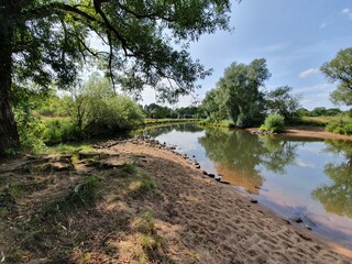 Die Aller (Celle) in seiner schönsten From