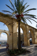 Obraz premium VALLETTA, MALTA - DEC 31st, 2019: Arches of the Upper Barrakka Gardens in Valletta with palm tree