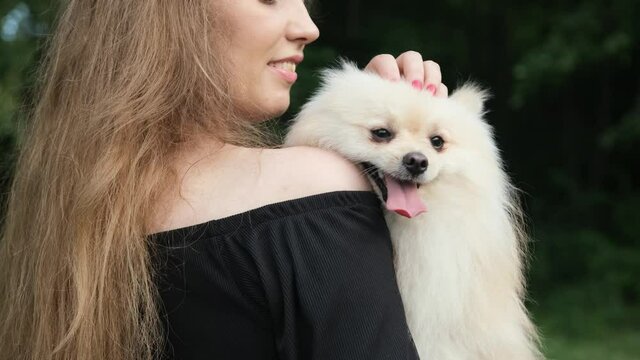 Close up of a adorable spitz dog sitting in the arms of his owner, a blonde haired woman in a black suit, during the walking in the park. Girl playing with a dog