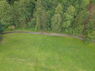 Aerial view of track along forest border. Lush foliage of many tress next to green meadow.