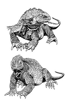 black and white iguanas crawling clip art preview