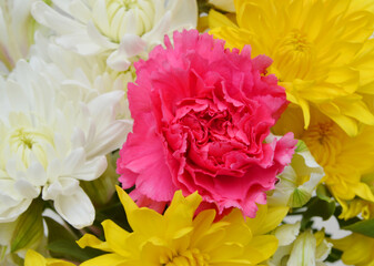 floral bouquet of daisy and carnation flowers on background