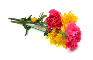 Fototapeta premium Pink Carnations and yellow daisy flowers on white