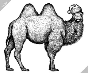 black and white engrave isolated camel vector illustration