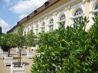 Fototapeta na wymiar Orangerie Ansbach